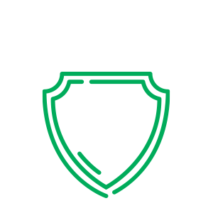 Icon shield green